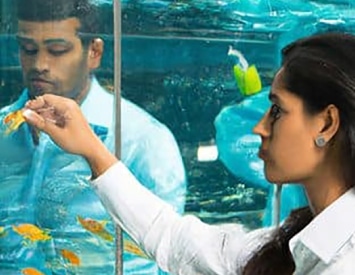 Engineering a More Inclusive World That Leaves No One Behind