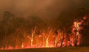Bushfire in Australia