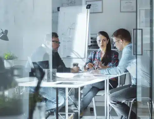 Hybrid Professionals Employers Want to Hire: Setting the Standard